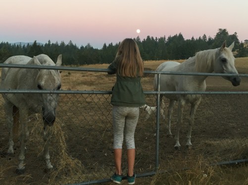 3D11D715-F008-4CFA-BA2A-A68AC67B2A4B