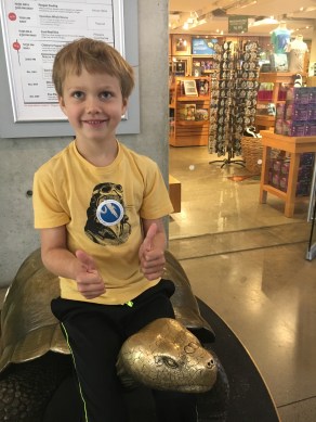 97F06BCB-D8DC-4232-9E2B-511F7C0F3EBF