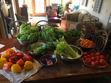 D52F9F95-BFE6-4592-AF3A-FCC116C45EE6