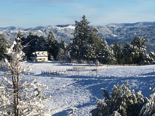 9CC687DA-374B-4BE4-B517-11A19978F304