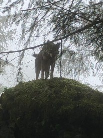 2E611822-477B-4CB4-A2B4-DF7633FC347E