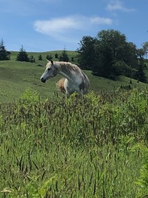 70DB7871-7E75-43A8-93AD-22003737FC9B